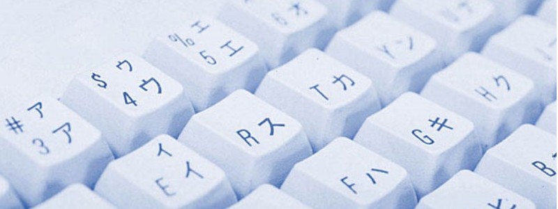 Wordpress�����T�[�o�[�yQuicca Plus(�N�C�b�J�v���X)�z���T�C�g